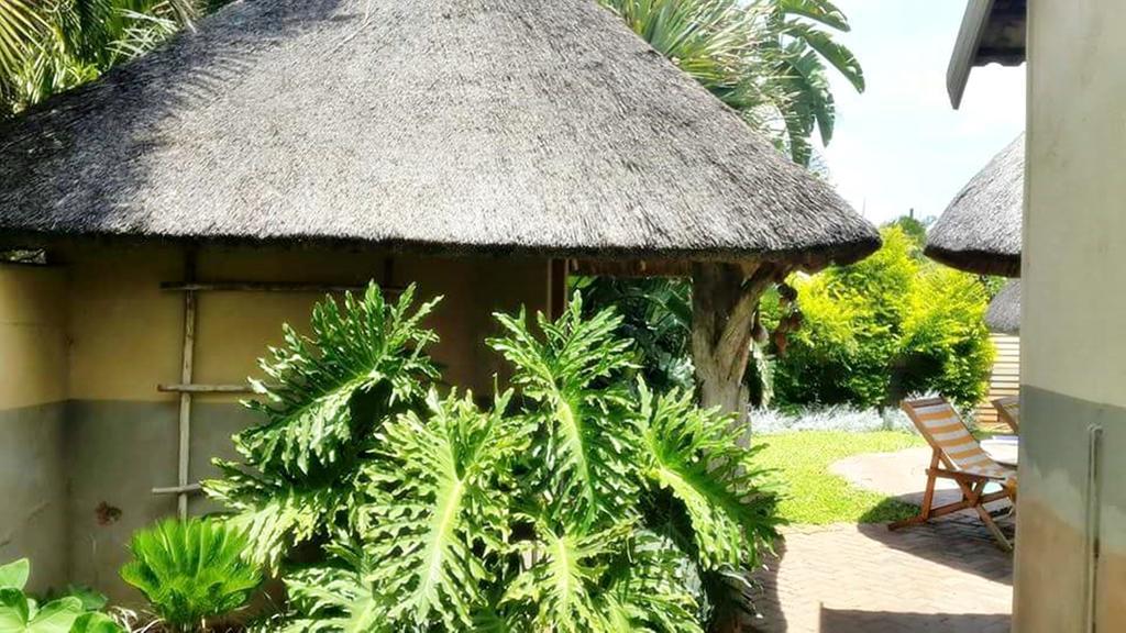 Lani'S Guest House - No Loadshedding มูซินา ภายนอก รูปภาพ
